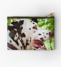 Panting Studio Pouch