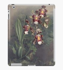 Reichenbachia Orchids illustrated and described by F. Sander 1888 V1-V2 049 iPad Case/Skin