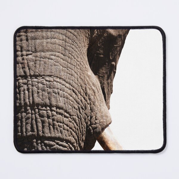 Item preview, an Elephant closeup designed and sold by LemonLite.
