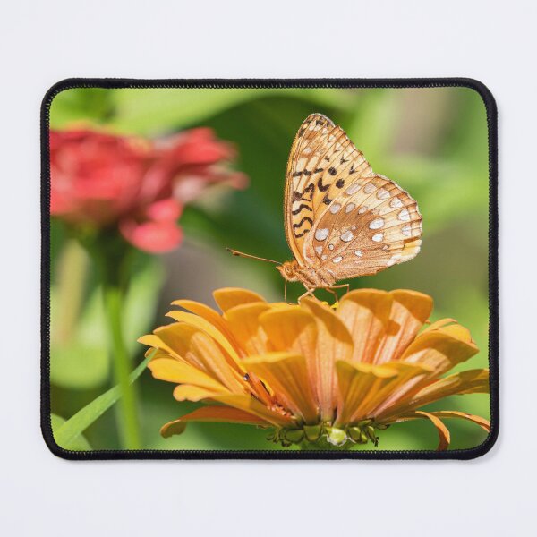 Item preview, Great Spangled Fritillary 2021-1 designed and sold by Thomasyoung.