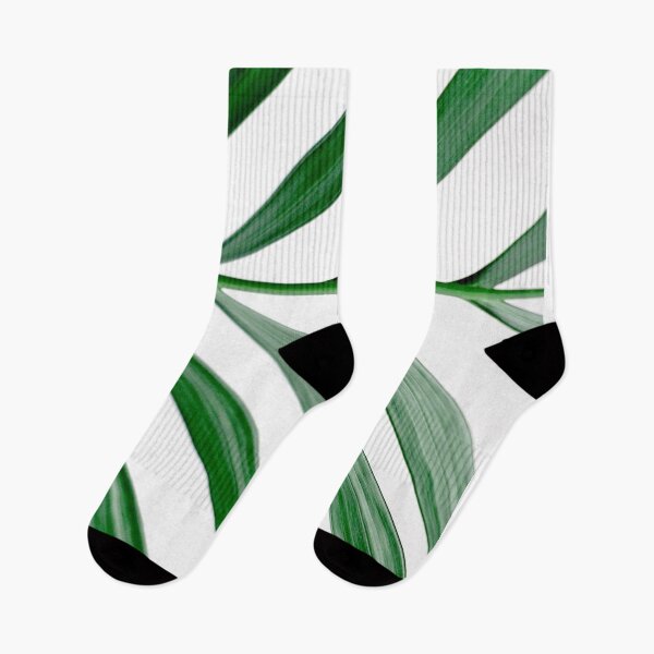 Item preview, Palm leaf beauty designed and sold by Shawa Shop.