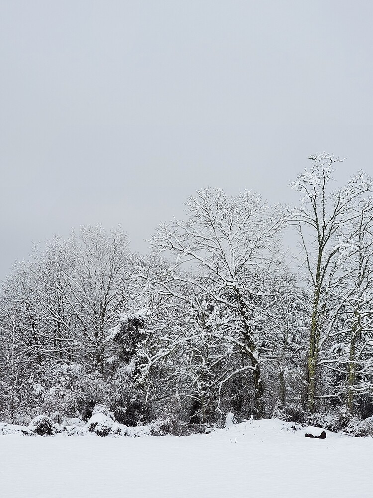 "Tennessee Mountain Snowfall 1" Poster for Sale by MountainMimis