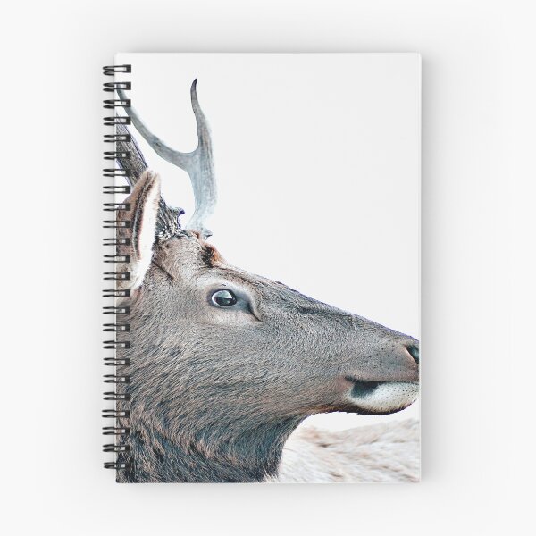 Item preview, Stags designed and sold by Shawa Shop.