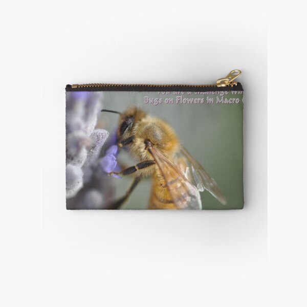 Item preview, ¡Felicitaciones! designed and sold by Rob Moffatt.