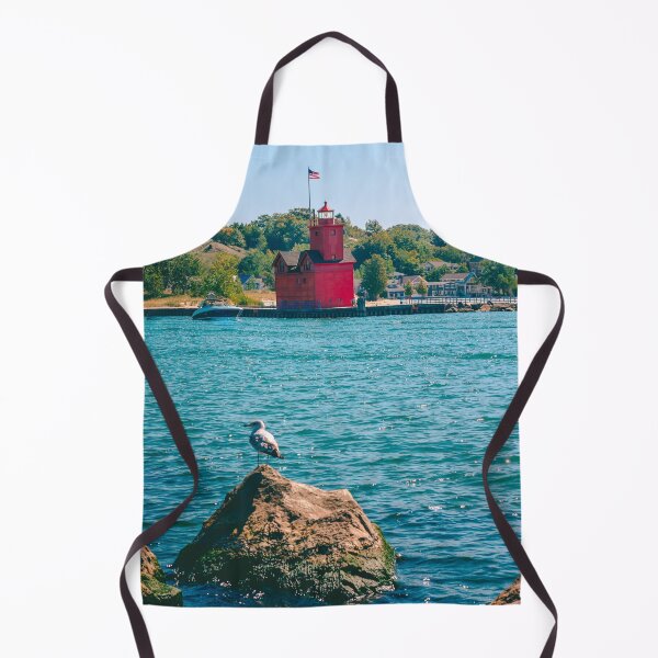 Item preview, Seagull perched in front of Big Red Lighthouse in Holland Michigan designed and sold by Michael Deemer.