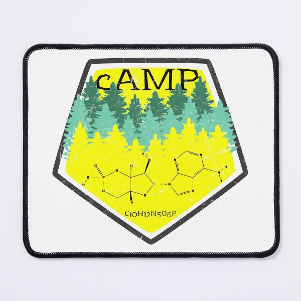 Item preview, cAMP or Cyclic AMP designed and sold by UnderDogRacing.