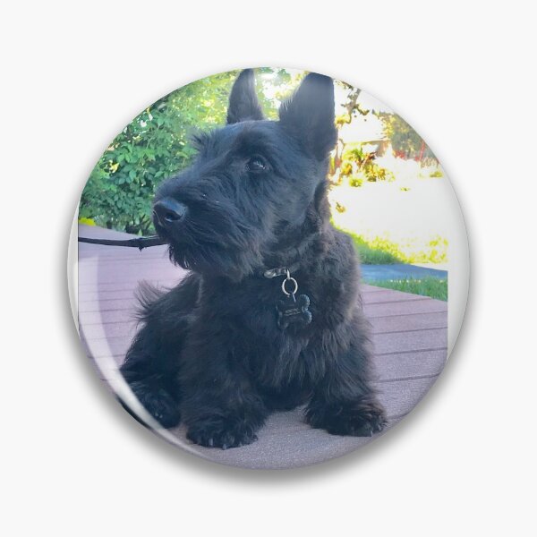 Item preview, Fergus Kelly Scottie Puppy designed and sold by Scootersscottie.