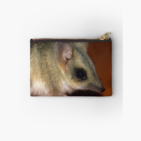 Item preview, Spinifex Hopping Mouse. designed and sold by trevorb.