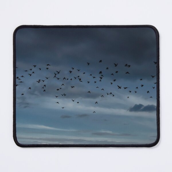 Item preview, A Small Murmuration Of Starlings designed and sold by axp7884.