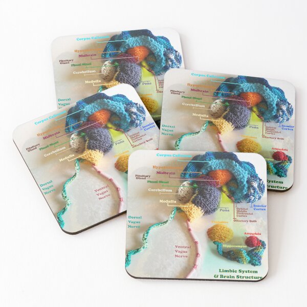 Item preview, Brain Anatomy  designed and sold by Linvizion.