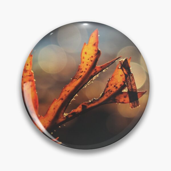 Item preview, Sunset on Seaweed designed and sold by Kathleen Daley.