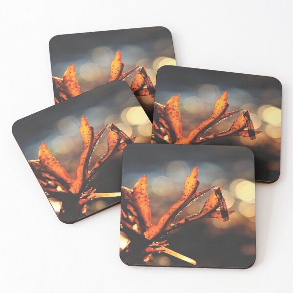 Item preview, Sunset on Seaweed designed and sold by Kathleen Daley.