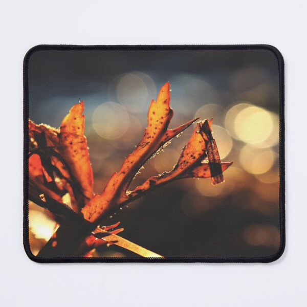 Item preview, Sunset on Seaweed designed and sold by Kathleen Daley.