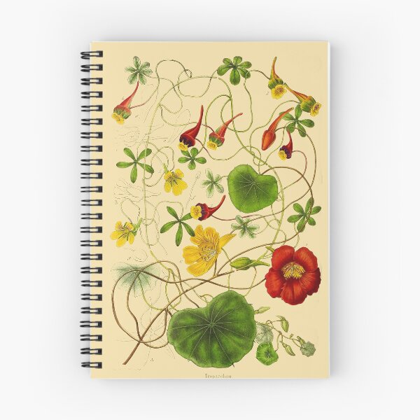 Item preview, Tropaeolum Vintage Flower designed and sold by LynnePham.
