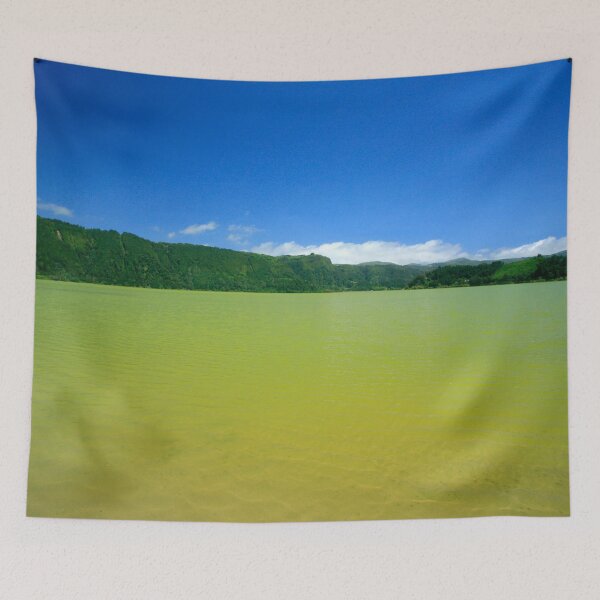 Item preview, Furnas Lake designed and sold by Gaspar Avila.