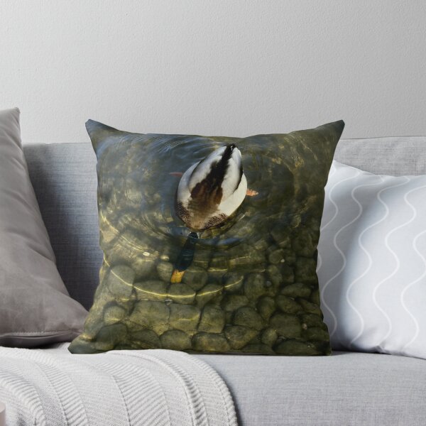 Item preview, searching designed and sold by Spondylus.