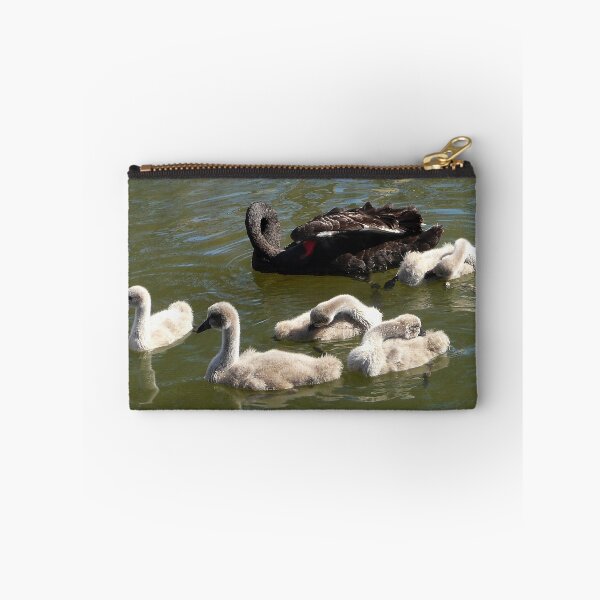 Item preview, Copy-Cat Cygnets designed and sold by stevealder.