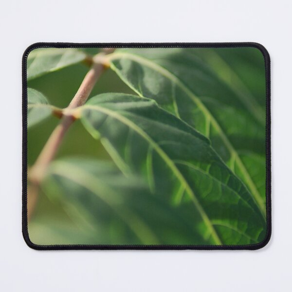 Item preview, The leaf perspective designed and sold by Kiran-Fine-Art.