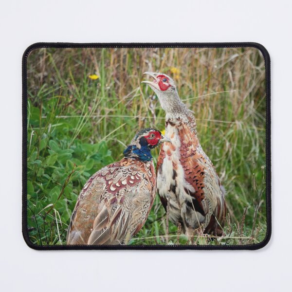 Item preview, That one is always so loud. Common pheasant designed and sold by Jouko Lehto Photography.