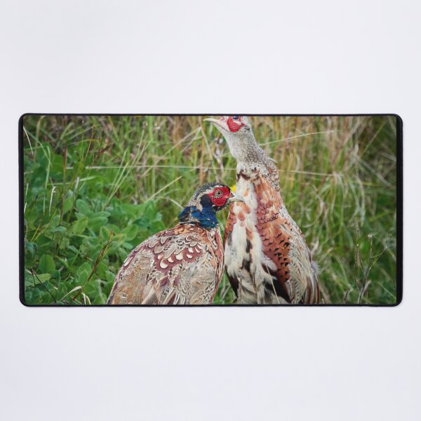 Item preview, That one is always so loud. Common pheasant designed and sold by Jouko Lehto Photography.