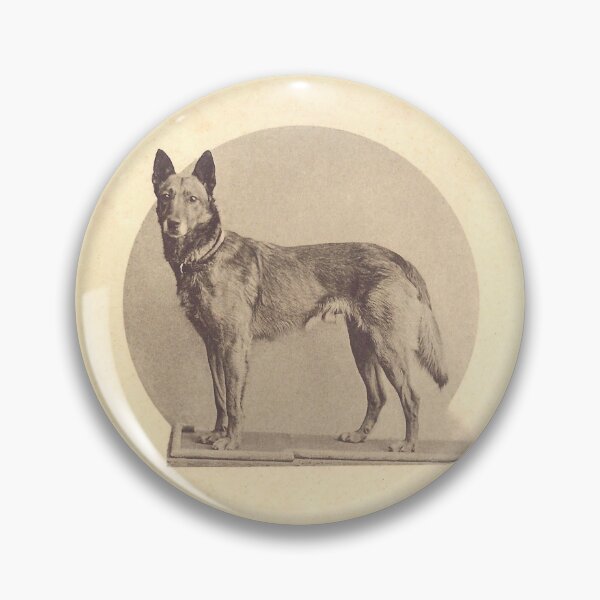 Item preview, Tjop, the first Malinois celebrity designed and sold by BelgianDogs.