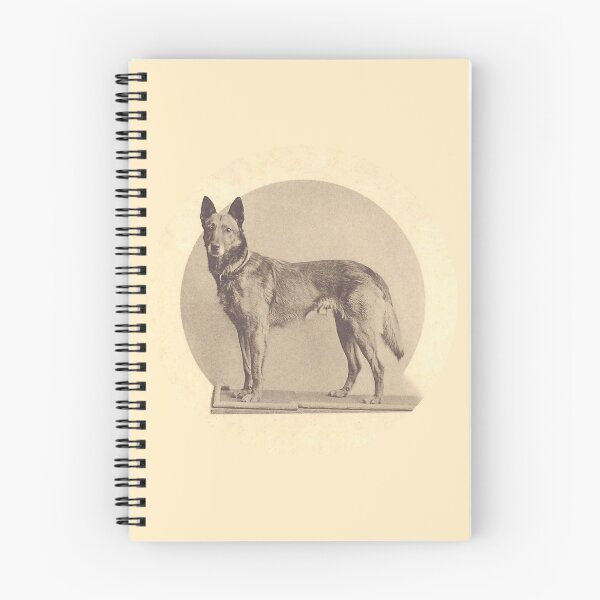 Item preview, Tjop, the first Malinois celebrity designed and sold by BelgianDogs.