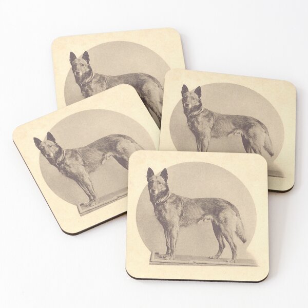 Item preview, Tjop, the first Malinois celebrity designed and sold by BelgianDogs.