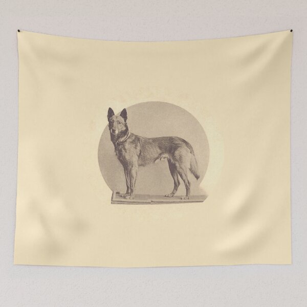 Item preview, Tjop, the first Malinois celebrity designed and sold by BelgianDogs.