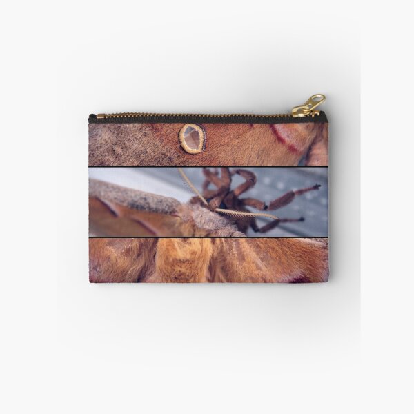 Item preview, Polyphemus Moth (in detail) designed and sold by aaronc.