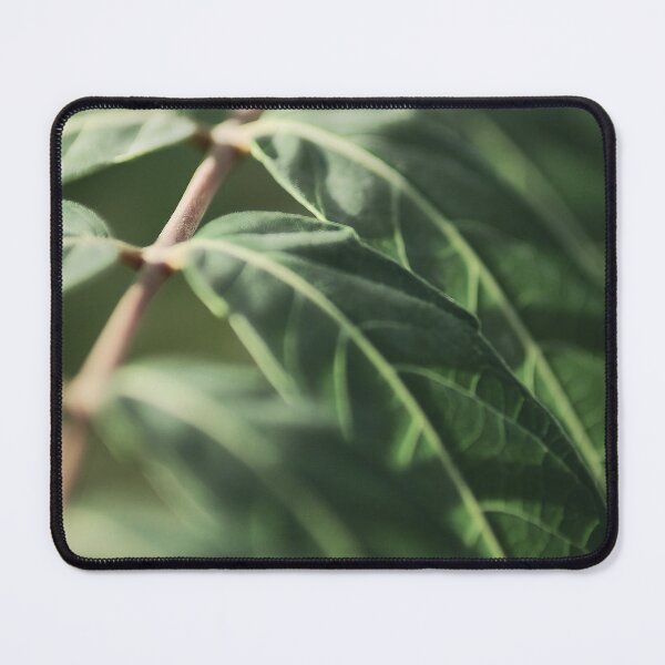 Item preview, The leaf perspective vintage designed and sold by Kiran-Fine-Art.