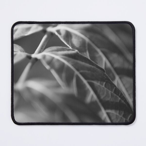 Item preview, The leaf perspective b&w designed and sold by Kiran-Fine-Art.