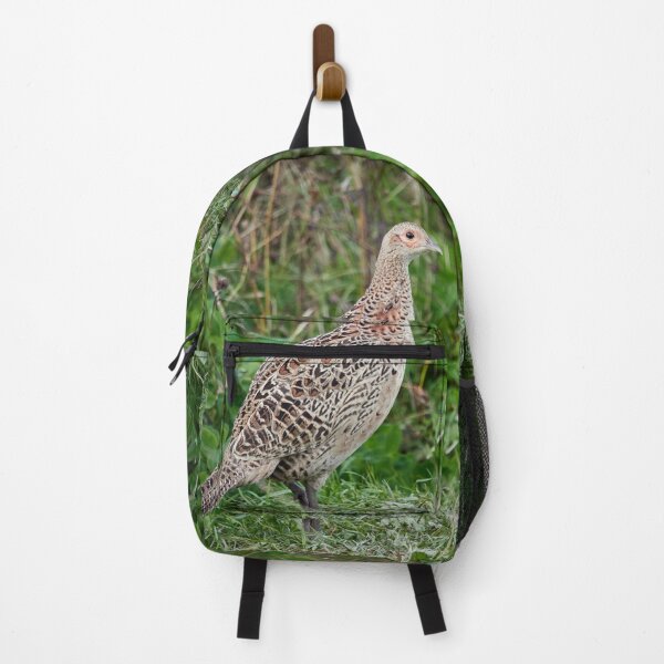 Item preview, Calm charm. Common pheasant designed and sold by Jouko Lehto Photography.