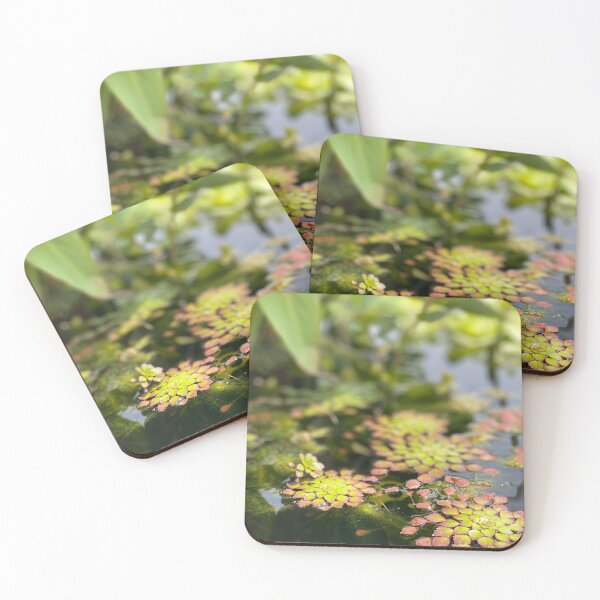 Item preview, Lily pad designed and sold by AnythingCustoms.