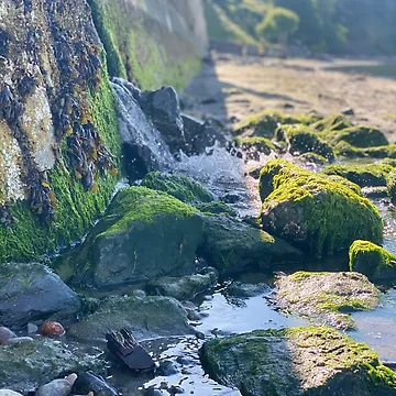 Artwork thumbnail, Waterfall by AnythingCustoms