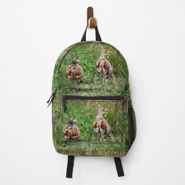 Item preview, Is there something wrong with my face. Common pheasant designed and sold by Jouko Lehto Photography.