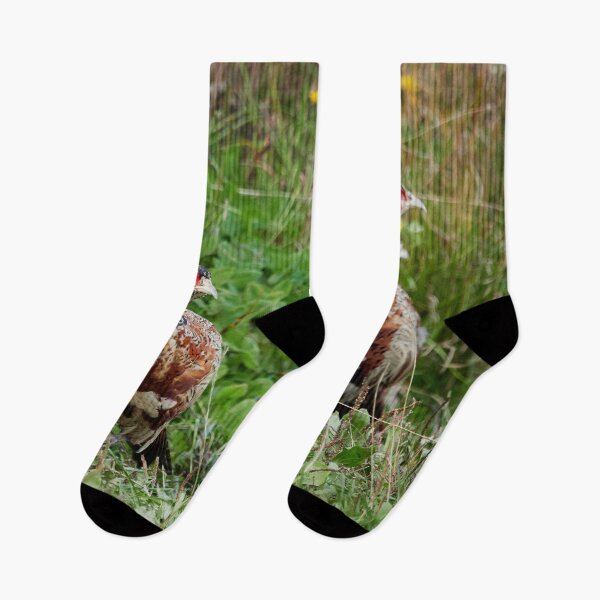 Item preview, Is there something wrong with my face. Common pheasant designed and sold by Jouko Lehto Photography.