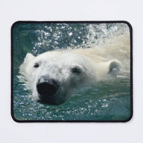 Item preview, Polar Bear at the Maryland Zoo designed and sold by Zoo and Nature Photography by Karie.