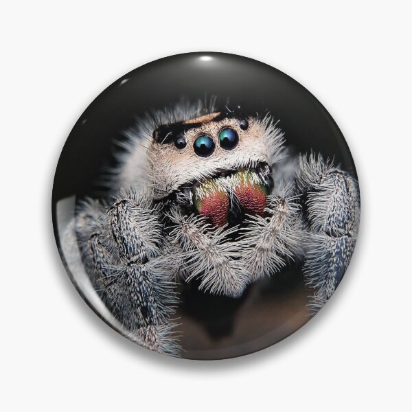 Item preview, Wild small spider designed and sold by Wellwest77.