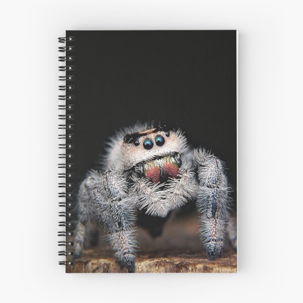 Item preview, Wild small spider designed and sold by Wellwest77.