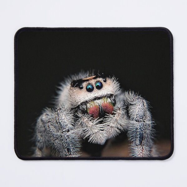 Item preview, Wild small spider designed and sold by Wellwest77.