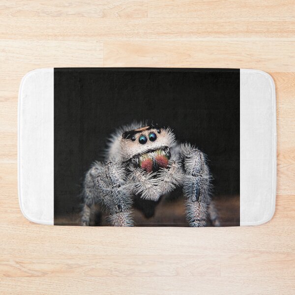 Item preview, Wild small spider designed and sold by Wellwest77.