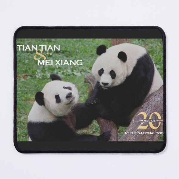Item preview, Giant Pandas Tian Tian and Mei Xiang at the National Zoo - 20th Anniversary Edition designed and sold by Zoo and Nature Photography by Karie.