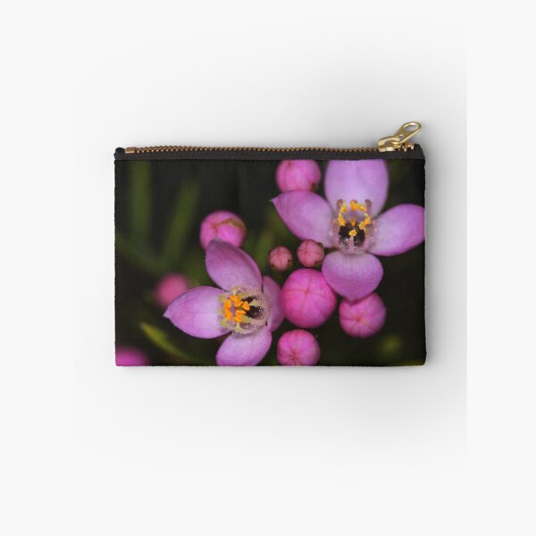 Item preview, Boronia safrolifera designed and sold by andrachne.