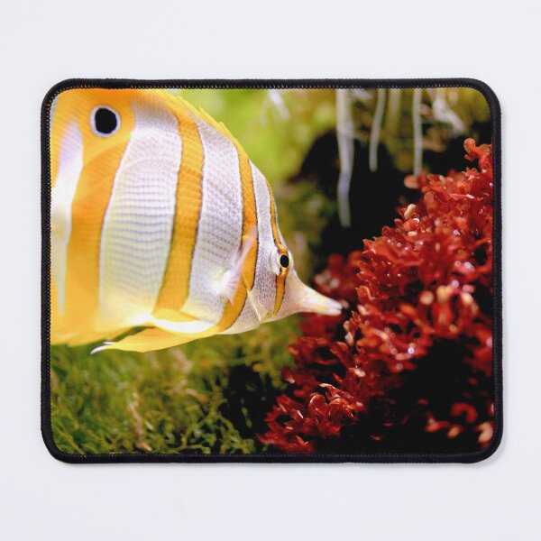 Item preview, A Real Gold Fish designed and sold by Personal Product Designers.