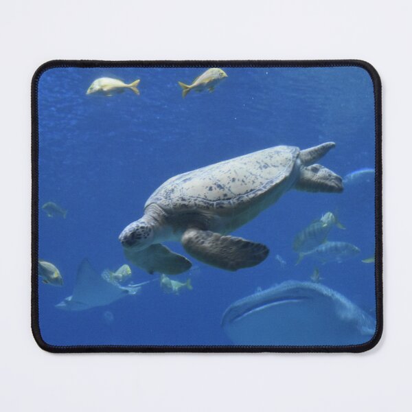 Item preview, Sea Turtle at Georgia Aquarium designed and sold by Zoo and Nature Photography by Karie.