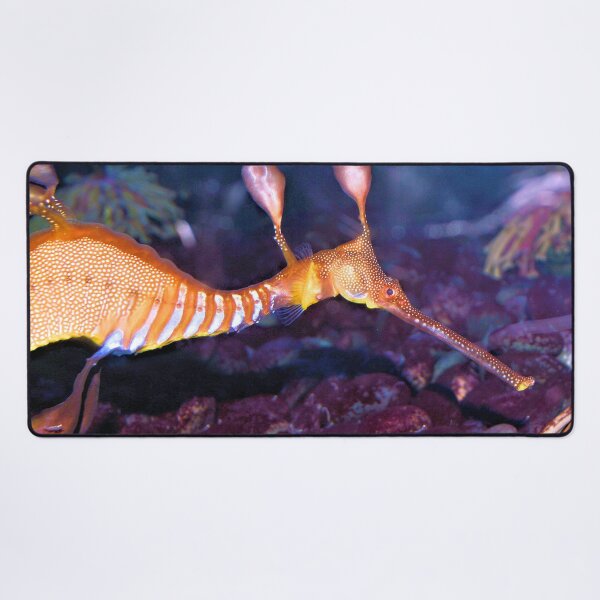 Item preview, Weedy Sea Dragon 2 designed and sold by What I See by Dawne.