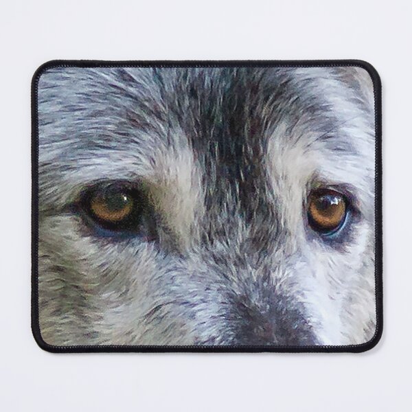 Item preview, Gray Wolf at the National Zoo designed and sold by Zoo and Nature Photography by Karie.