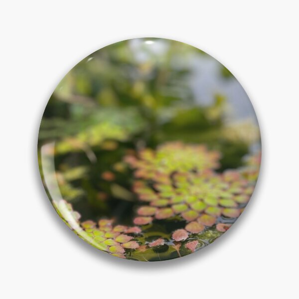 Item preview, Lily pad designed and sold by AnythingCustoms.