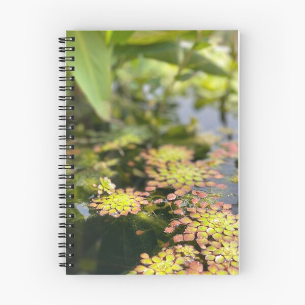 Item preview, Lily pad designed and sold by AnythingCustoms.
