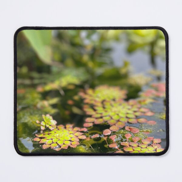 Item preview, Lily pad designed and sold by AnythingCustoms.